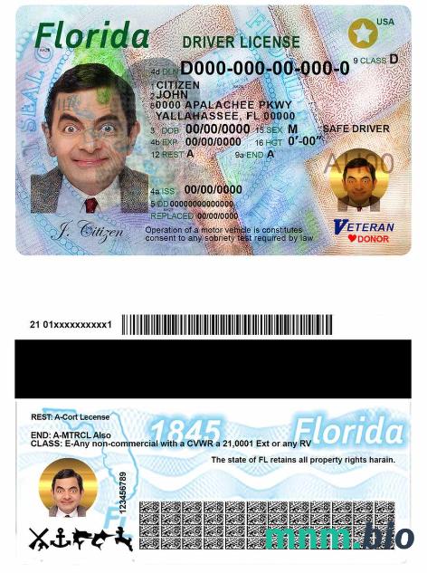 Szablon prawa jazdy USA Florida w formacie PSD, ze wszystkimi czcionkami